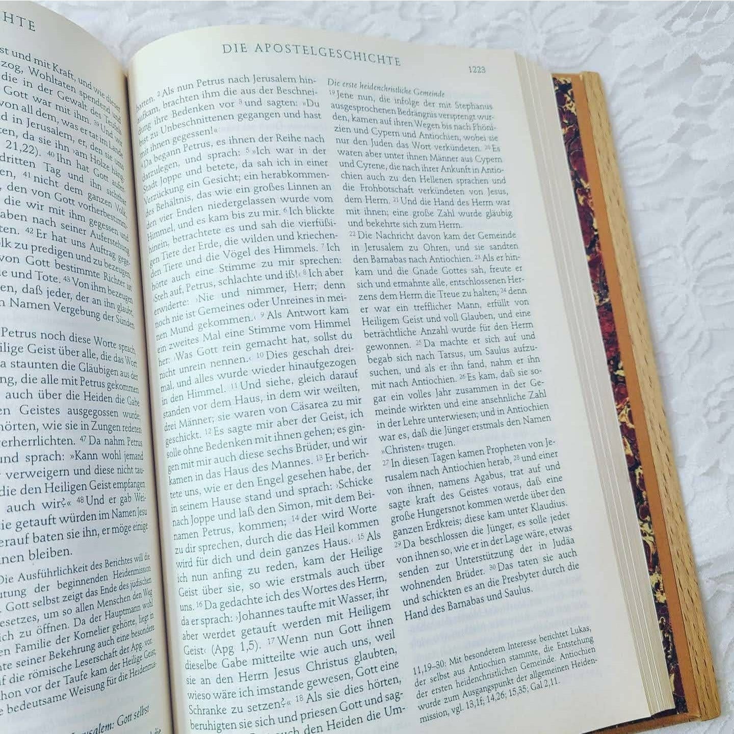 German Language Bible ~ VINTAGE Die Bibel Illustriert Mit Werken Von Albrecht Durer Hamp ~ German Bible RARE